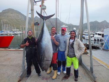 South African Southern Bluefin Tuna