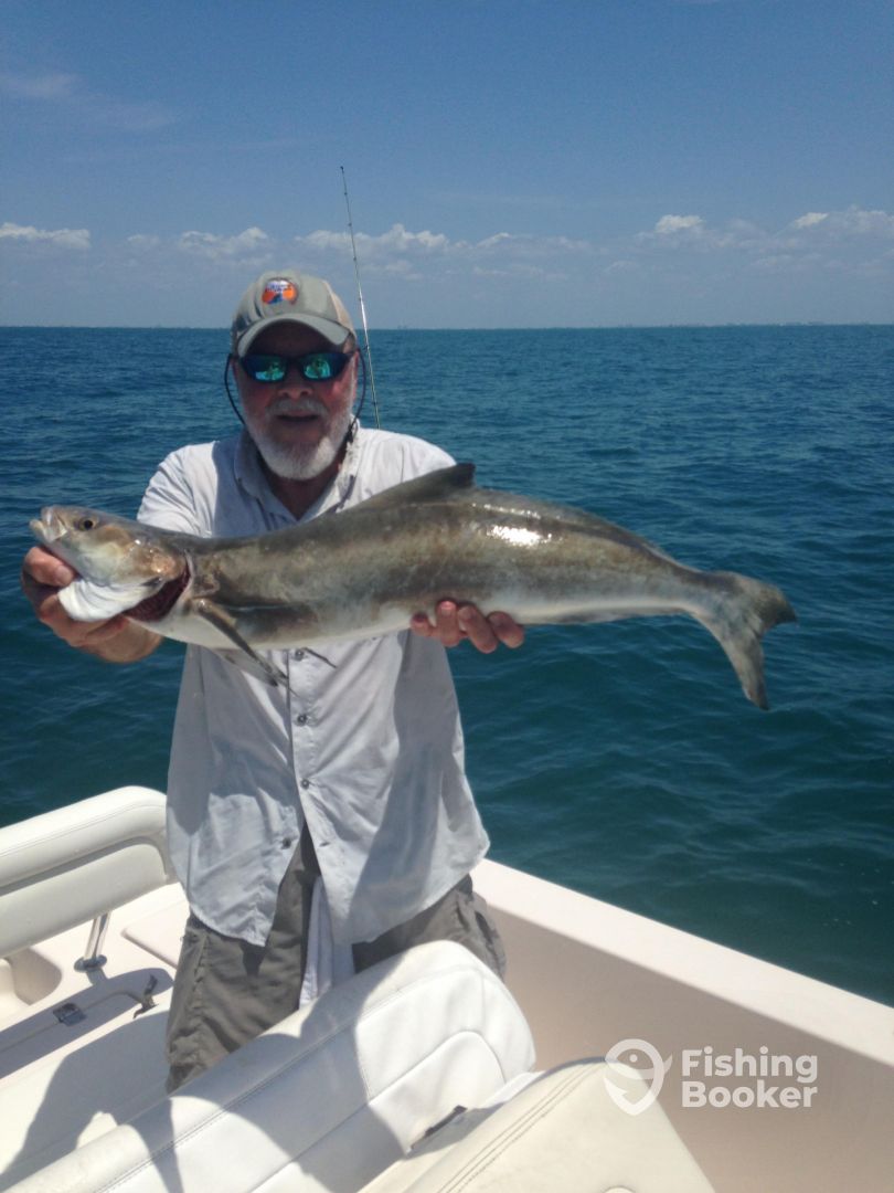 Fort Myers Beach Report Photo 0