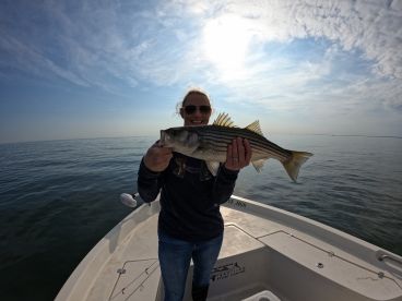 Calvert County Report Photo 3