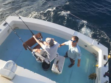 Fighting sharks!