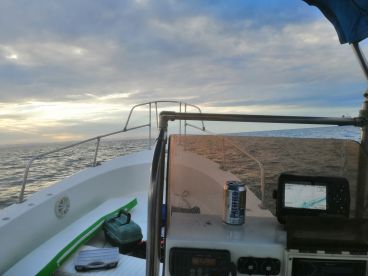 Baja California Sur Report Photo 1