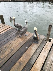 Texas Report Photo 1