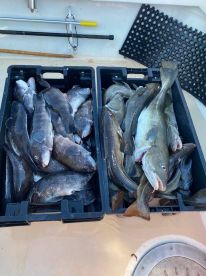 Nov 29 Fishing Report
