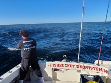 Boston Harbor Report Photo 2