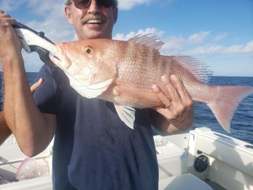 Indian Shores Report Photo 2