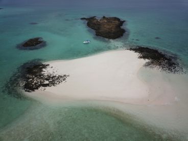 Panama City Report Photo 1