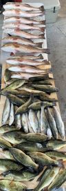Lafitte Report Photo 2