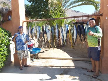 San Jose Del Cabo Report Photo 2