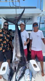 Mauritius Report Photo 2