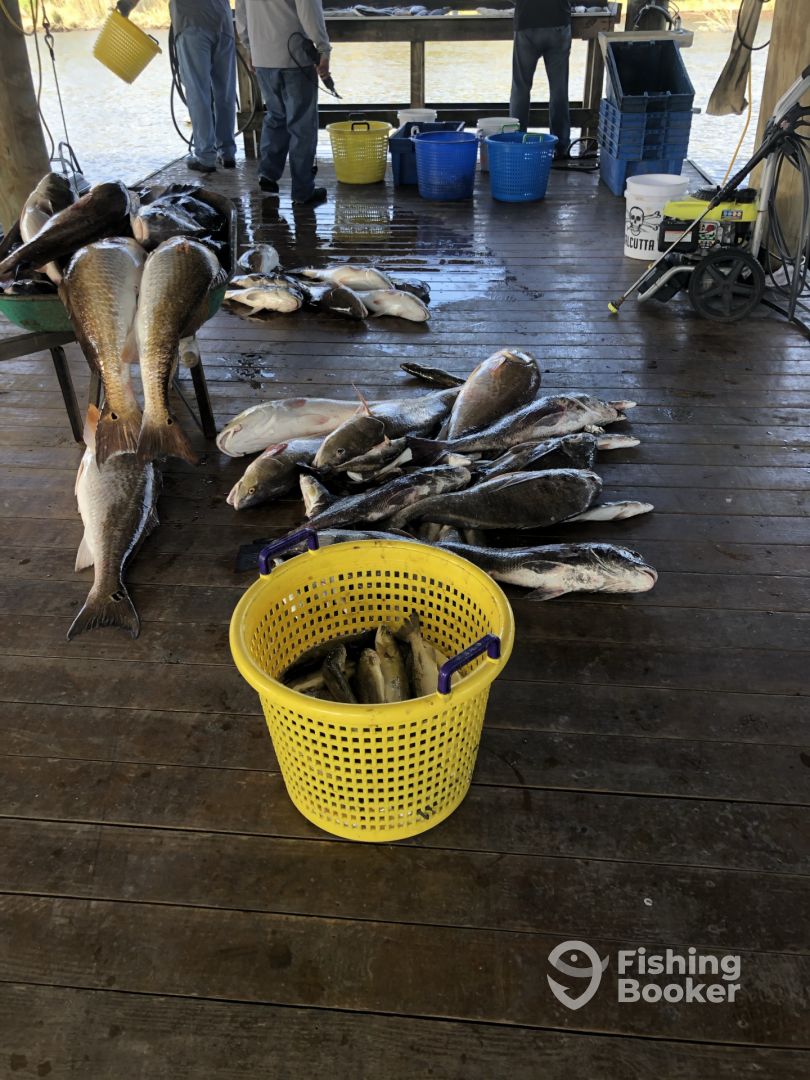 Theriot Report Photo 0