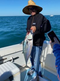 Redington Shores Report Photo 2