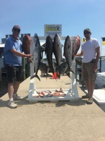 8 hour bottom fishing