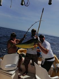 Puerto Vallarta Report Photo 2