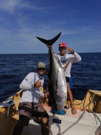Puerto Vallarta Report Photo 1