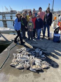 Gulfport Report Photo 1