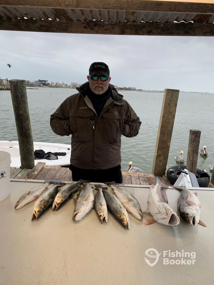Galveston Report Photo 0