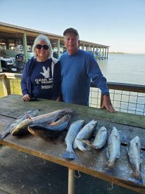 Galveston Report Photo 1