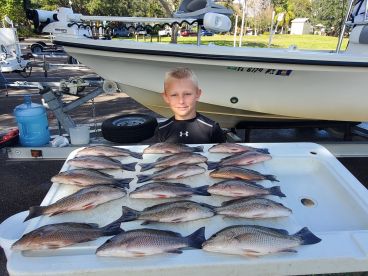Snapper Slapper!