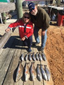 LIMITS of Speckled Trout + some Redfish