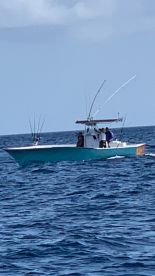 Sailfish are here!