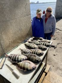 Sheepshead Bite is Hot