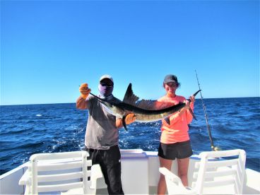Baja California Sur Report Photo 4