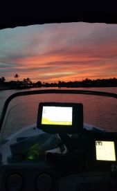 South Florida Report Photo 2