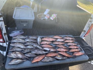 Clearwater Report Photo 1