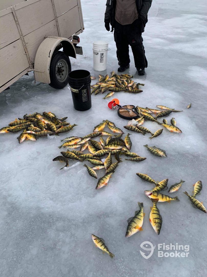 Michigan Report Photo 0