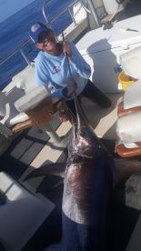 swordfish