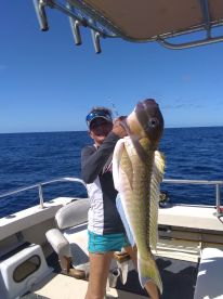 Tilefish