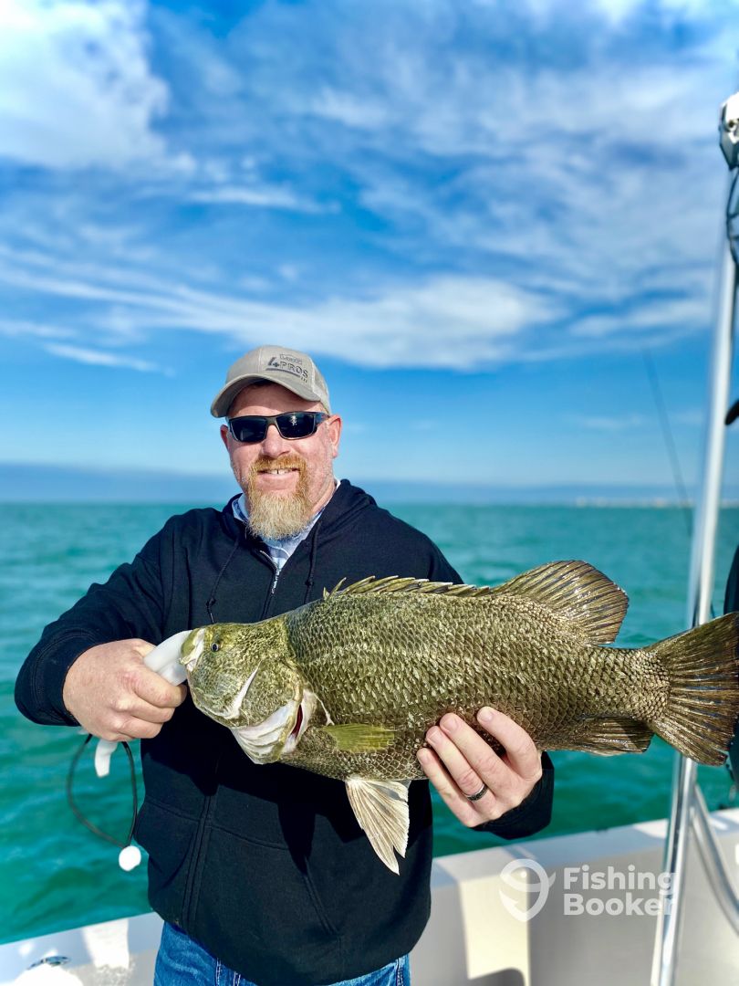 Sarasota Report Photo 0