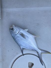 Bradenton Beach Report Photo 3