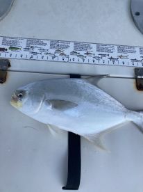 Bradenton Beach Report Photo 2