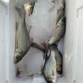 Winter Doesn't Stop Great Fishing!