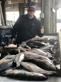 Nice pile of fish!