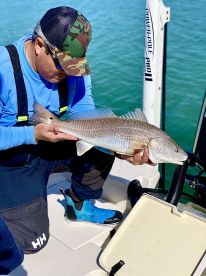Siesta Key Report Photo 2