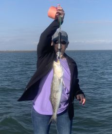 Matagorda Report Photo 1