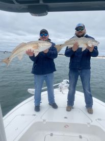 Bay County Report Photo 4