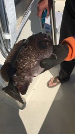 Poquoson Report Photo 2
