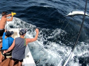 Port Stephens Report Photo 1