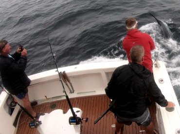 Port Stephens Report Photo 2