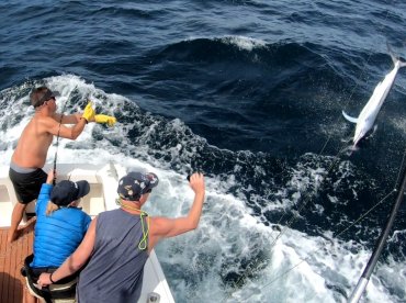 Port Stephens Report Photo 1