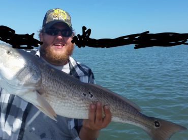 Tampa Bay Report Photo 1