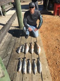 Texas Report Photo 2
