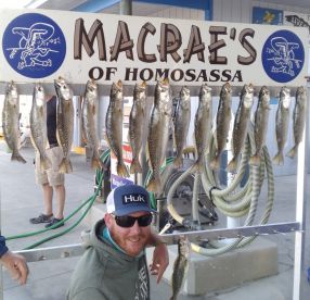 Homosassa Report Photo 2
