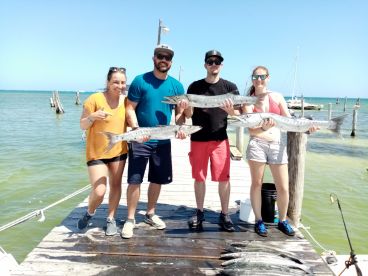 Quintana Roo Report Photo 4