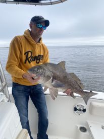 Ocean Springs Report Photo 2