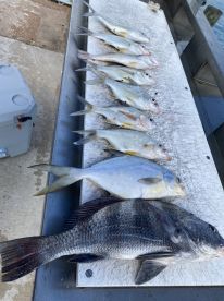 Jupiter Inlet Report Photo 2
