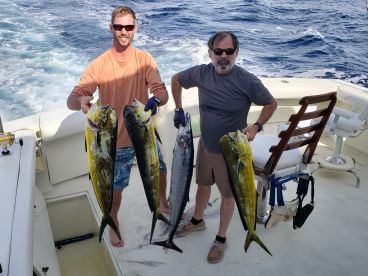 Baja California Sur Report Photo 3